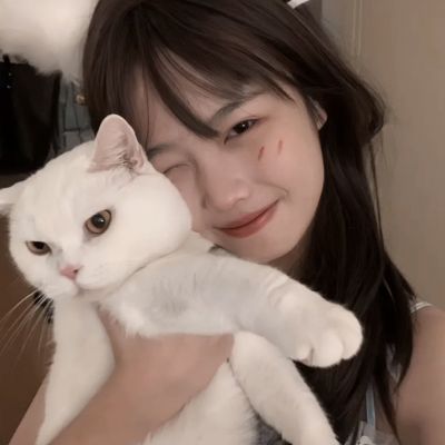 奥德彪传奇游戏下载